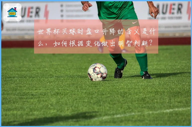 世界杯买球时盘口升降的含义是什么，如何根据变化做出明智判断？