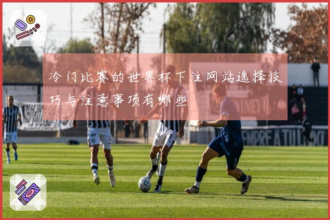 冷门比赛的世界杯下注网站选择技巧与注意事项有哪些