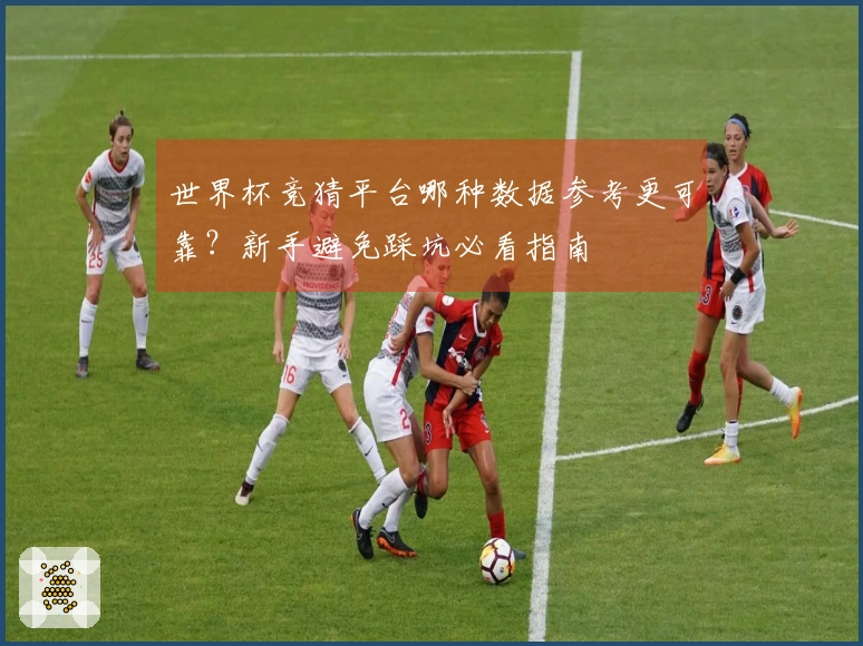 世界杯竞猜平台哪种数据参考更可靠？新手避免踩坑必看指南